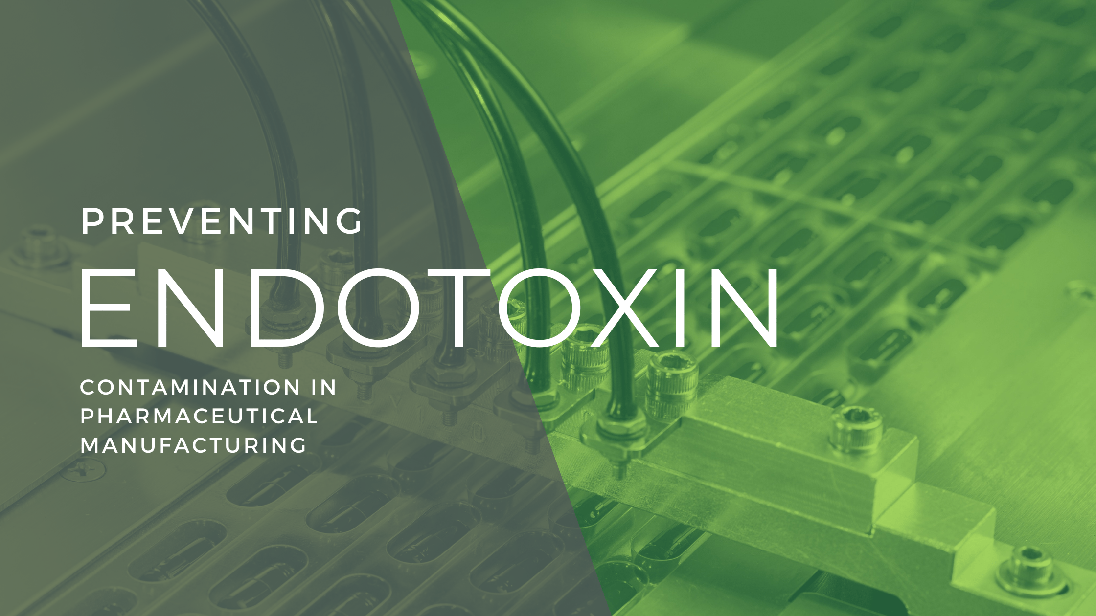 How to Prevent Endotoxin Contamination in Sterile Pharmaceutical Manufacturing