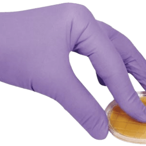plates.png